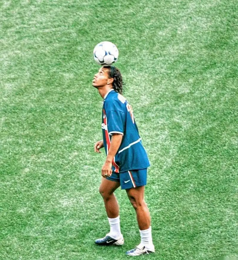 综合性的社 综合性的社