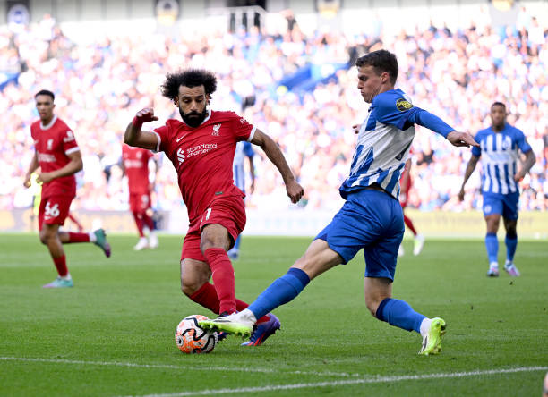 希望与活力 希望与活力