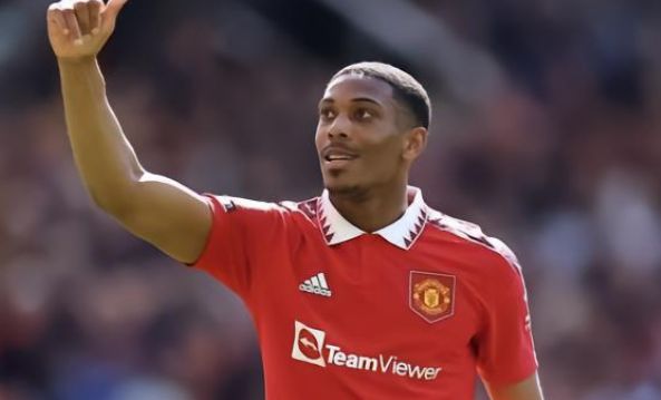 重要性与梅 重要性与梅